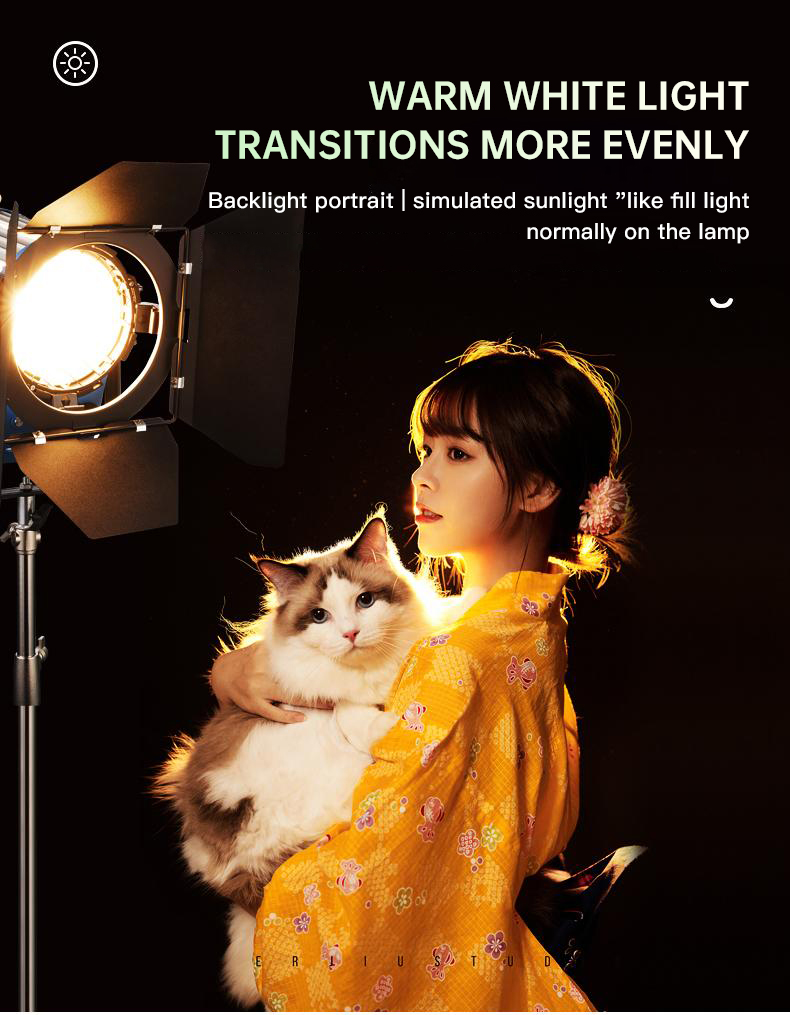베이양 2000W 스포트라이트 헤어 라이트 앵커 배경  - Photography Lighting For Indoor 리뷰 및 가격