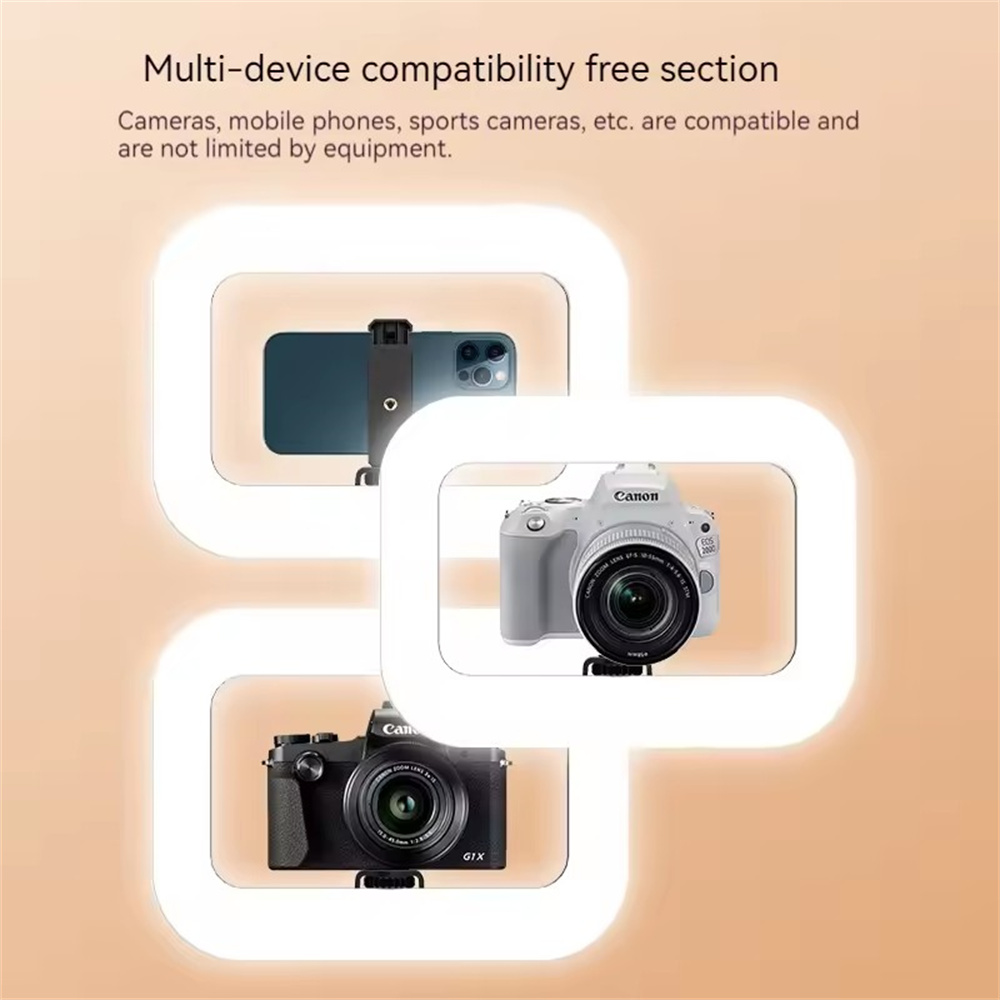 FANGTUOSI 휴대용 필라이트 LED 실내외 라이브 - Photography Lighting For Indoor 리뷰 및 가격