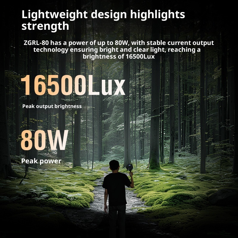 ZGRL80 80W COB LED 비디오 라이트 휴대용 - Photography Lighting Outdoor 리뷰 및 가격